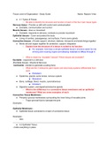 Tissue Level of Organization - Study Guide TEST BANK.pdf