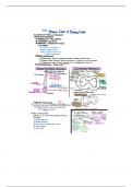 Bio 209  Chapter 15 Notes 