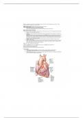 Bio 209 Heart Blood Vessels Quiz