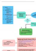 Cell and Cell Cycle Summary