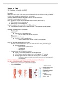 Biologie voor jou VWO 5 - Thema 10: DNA