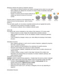 2.4 Enzyme Notes from OCR Biology