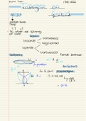 Samenvatting Natuurkunde trillingen en geluid VWO 6