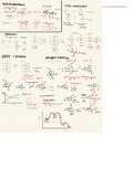 structure and role of carbohydrates