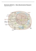 Samenvatting Biochemie (BCH21) Minor Biochemische Research