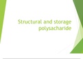 Structural and storage polysacharide