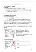 Praktijk neurokine 2