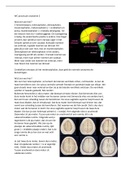 WC practicum anatomie hersenen 2