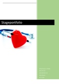 Stageportfolio 