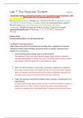 Lab 7 The Muscular System BIO201L Straighterline Anatomy & Physiology I BIO 201L LAB 7 The Muscular System Worksheet – with all lab photos (New Version June 2024) Scored 100%