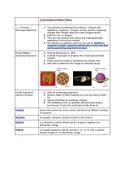 Ch.2 Atoms, Molecules, and Ions Section 2 Evolution of Atomic Theory