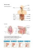 Medische biologie voeding en spijsvertering.