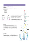 Samenvatting moleculaire biologie (zelfstudies niet inbegrepen) 