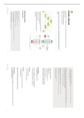 Activity Lifecycle: CSC2002S Mobile Design and Development Module (MDD)