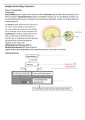 Voortplanting Samenvatting 6 VWO 