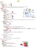 Hematology Anemias