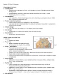 Lecture 11: Liver and Pancreas Notes for Clin Lab Procedures