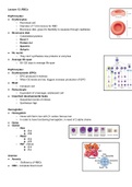 L12: clin lab procedures