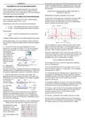 Guyton and Hall Chapter 11 Notes - Fundamentals of Electrocardiography