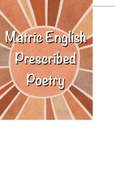 English poetry & Lit essay writing bundle 