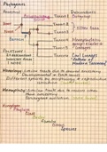 General Biology II: Phylogenies to Eukarya