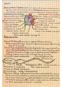 General Biology 2: Heart, Reproduction, Hormones, Electrical Signals