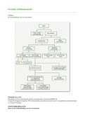 Complete samenvatting Verbintenissenrecht (inclusief stappenplannen, hoorcollege aantekeningen, werkgroep-aantekeningen en het boek verwerkt)