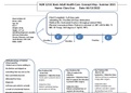 NUR 1211C Keiser University Care plan and concept map package 