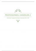 Professioneel Handelen 2 Samenvatting