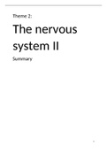 Theme 2: The Nervous System II. A complete summary of all exam material!
