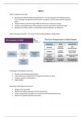 Business Process Management (Process) (Grade 7.3)