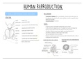 Human Reproduction