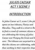 Summary -  English literature / Julius Caesar  Act 1 Scene 1