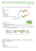 BIOLOGIE samenvatting 