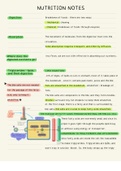 Nutrition Handling And Metabolism Notes