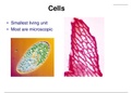 Cell-Physiology-Presentation-Notes-Nursing.ppt