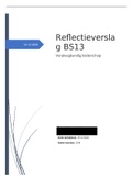 BS13; verpleegkundig leiderschap. Reflectieverslag 