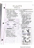 Plant Lecture Notes