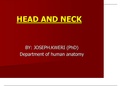 Understand the anatomic arrangement of the various structures of the head and neck region.