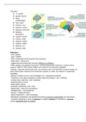 Samenvatting Fundamentals of Human Neuropsychology, ISBN: 9780716795865  Neuropsychologie (PABA3021)