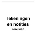 Tekeningen en notities van de zenuwen van het voorbeen