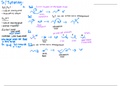 Summary of Sn1, Sn2, E1, and E2 reactions and helpful tips