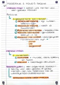 Aardrijkskunde Samenvatting Havo 4/5 Buitenland Brazilie