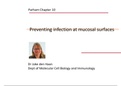 Totaal document alle slides Immunologie in goodnotes met bijgeschreven aantekening 