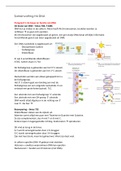 Samenvatting Biologie voor jou 5 vwo H4 DNA