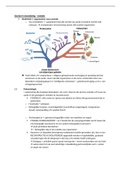 Evolutie: evolutieleer, evolutietheorieën en evolutie van de mens