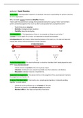 Summary Teamwork - Theories, Design and Dynamics