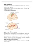 Year 3: The patient MAC: Introduction to brain diseases Lecture