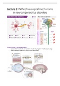 BBS3015 Neurosciences and Control: all lectures 