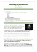 IEB Visual Art Complete Summary on Contemporary SA art